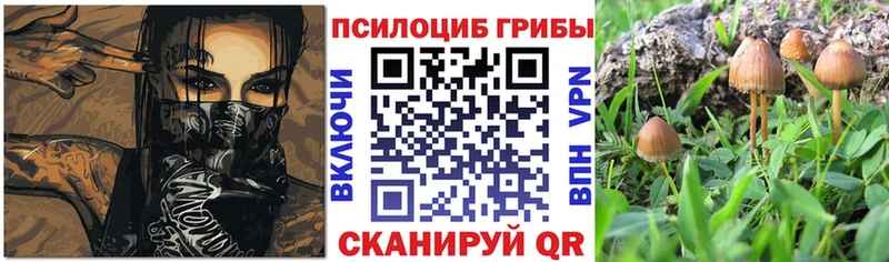 Галлюциногенные грибы GOLDEN TEACHER  Городище 